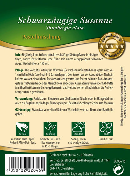  Schwarzäugige Susanne Pastellmischung