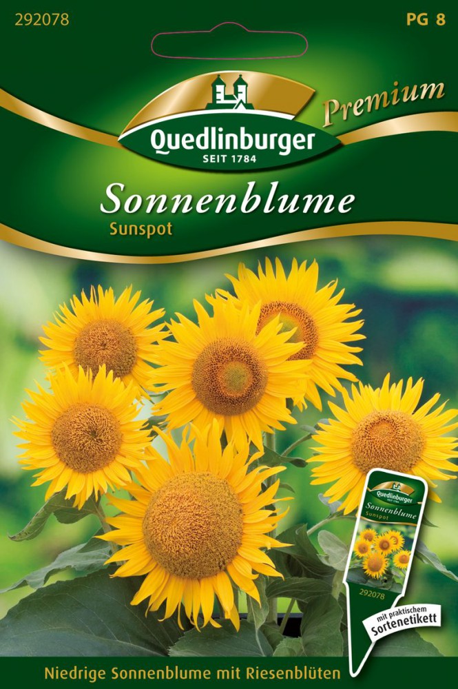  Sonnenblumen Sunspot