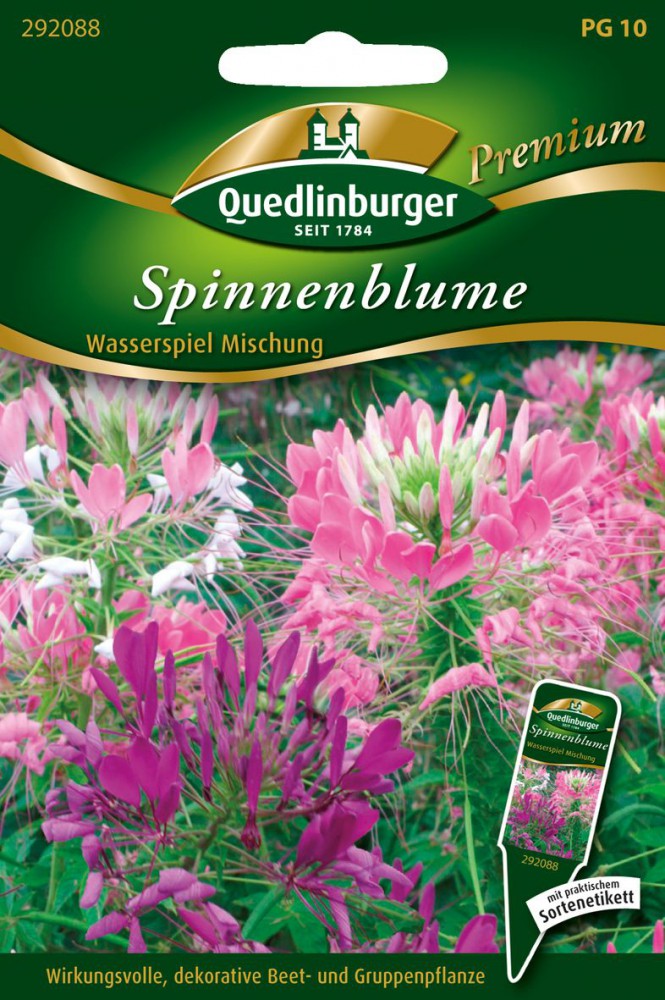 Spinnenblume Wasserspiel Mischung