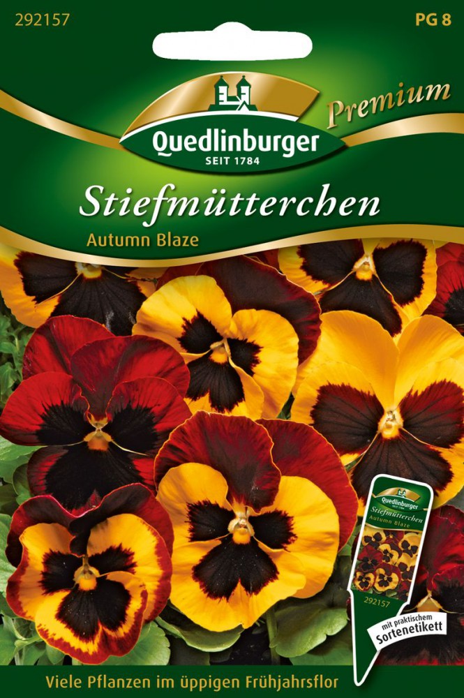  Stiefmütterchen Autumn Blaze