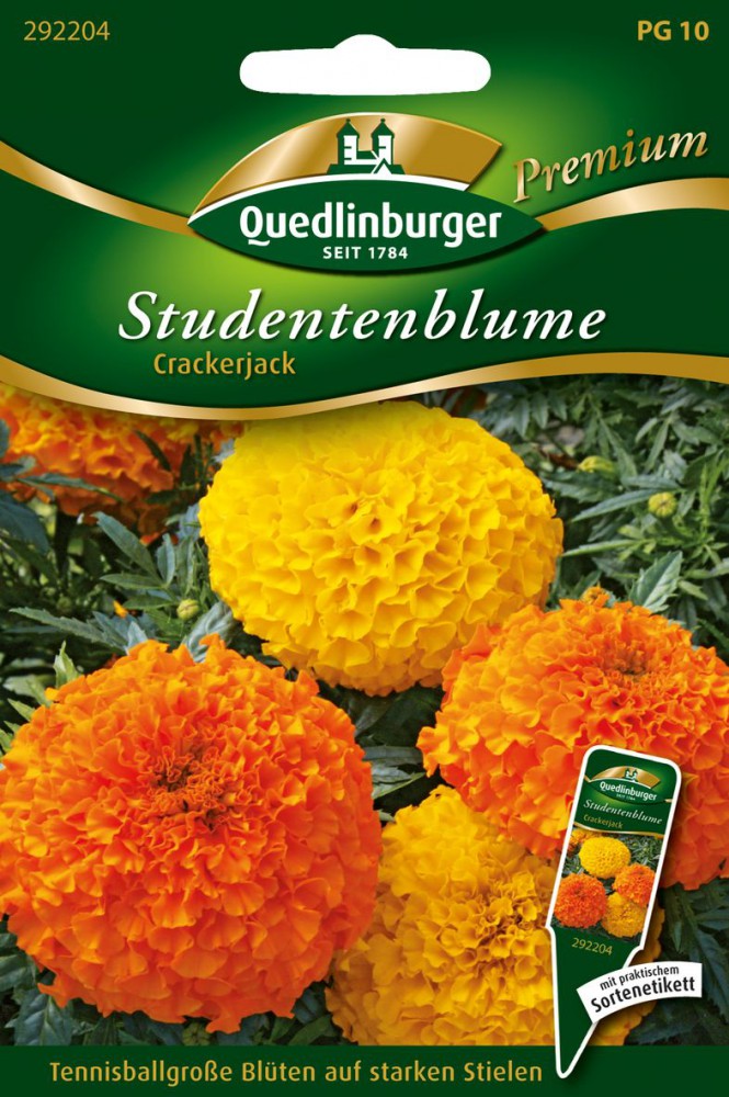  Studentenblumen Crackerjack