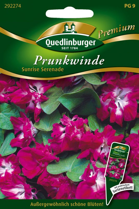  Prunkwinden Sunrise Serenade