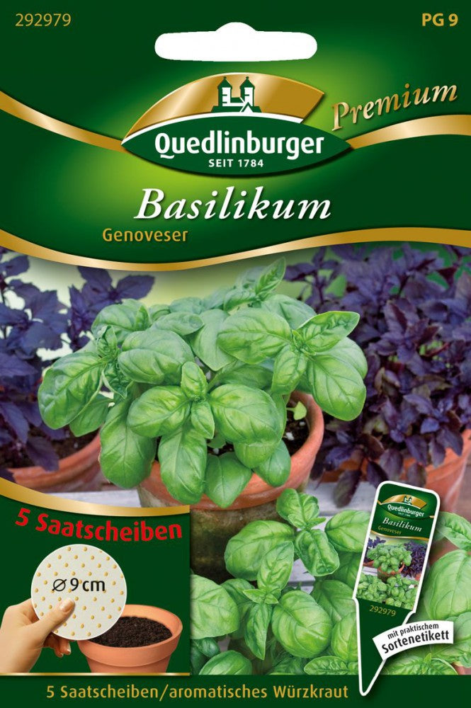  Basilikum Genoveser