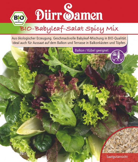  Bio-Babyleaf-Salat Spicy Mix