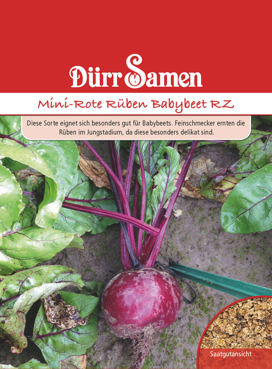  Mini-Rote Rübe Babybeet RZ