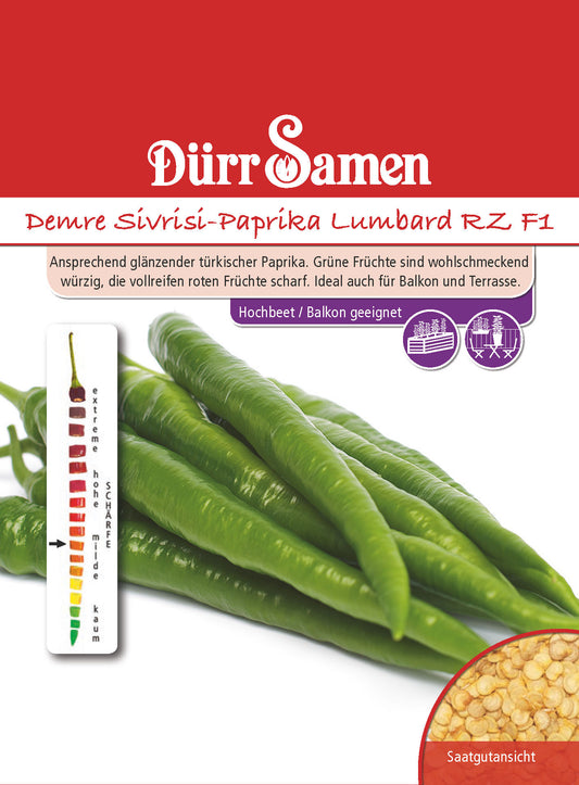  Demre Sivrisi-Paprika Lumbard RZ F1