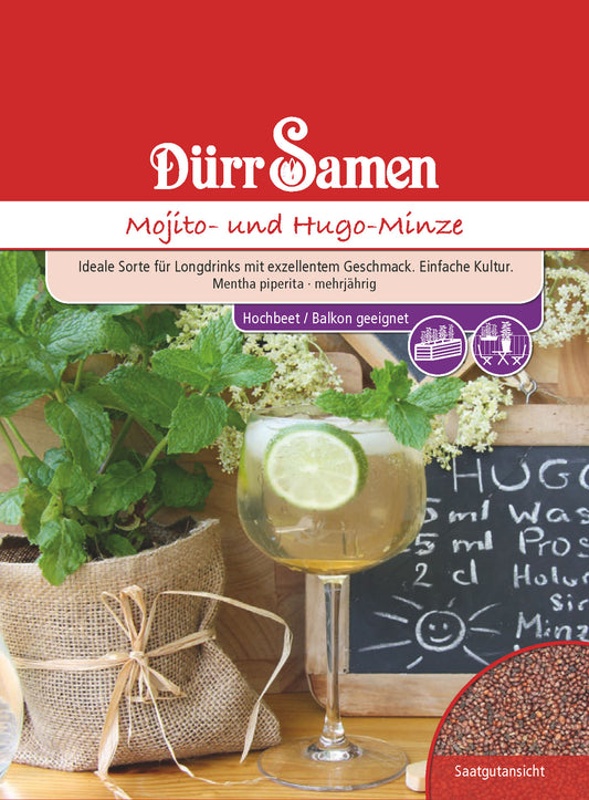  Mojito- Und Hugo-Minze