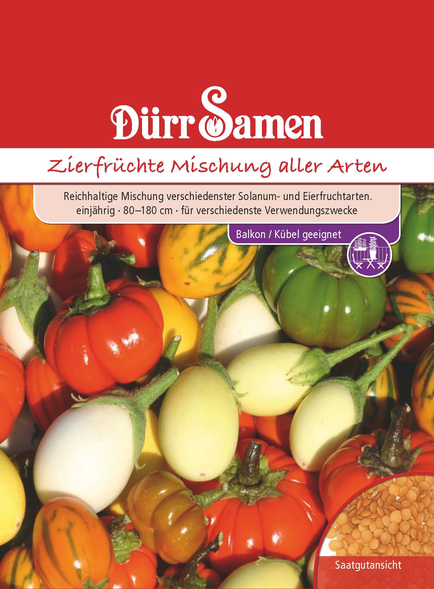  Solanum-Zierfrüchte Bunte Mischung Aller Arten