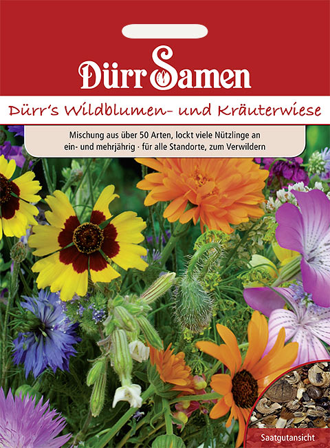  Wildblumen- Und Kräuterwiese Mit Gräsern 125m²