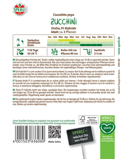  Zucchini Orelia F1-Hybride
