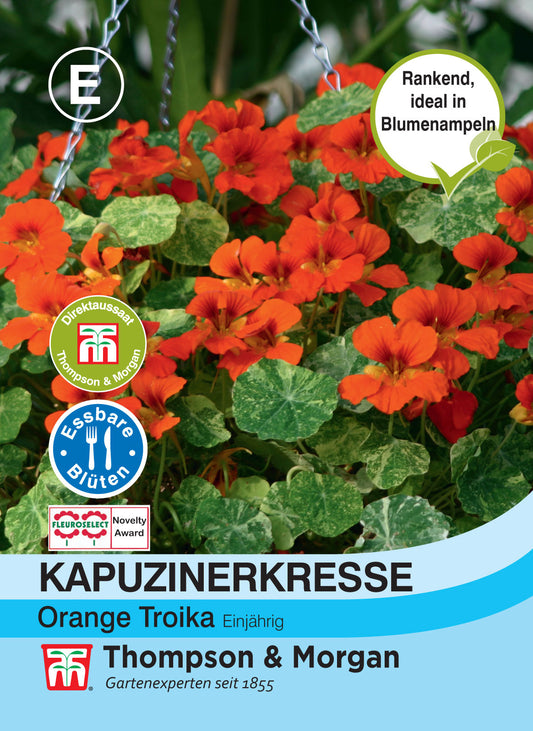  Kapuzinerkresse Orange Troika