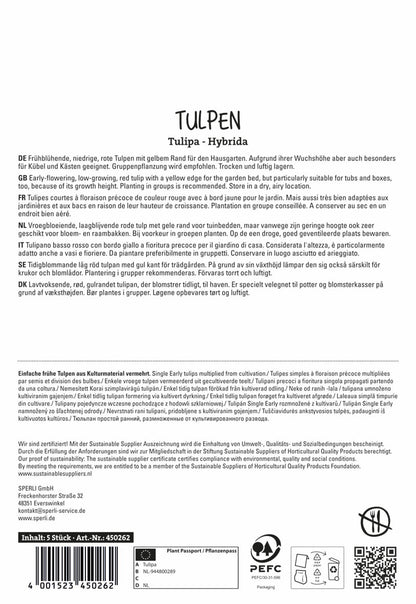  Einfache Frühe Tulpe Flair (5 Stück)