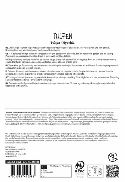  Triumph-Tulpe Match (5 Stück)