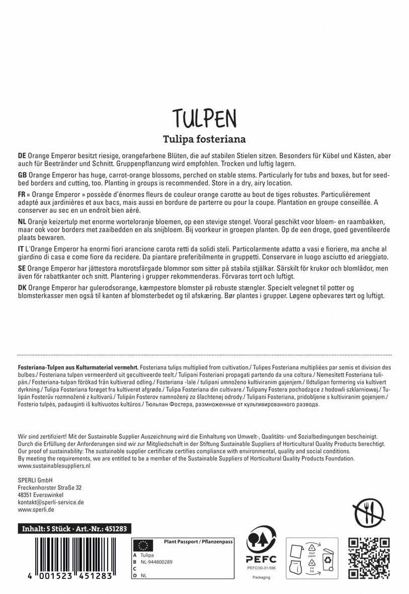  Fosteriana-Tulpe Orange Emperor (5 Stück)