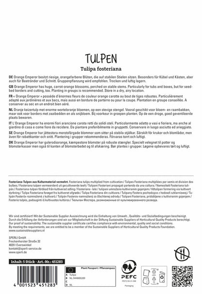  Fosteriana-Tulpe Orange Emperor (5 Stück)