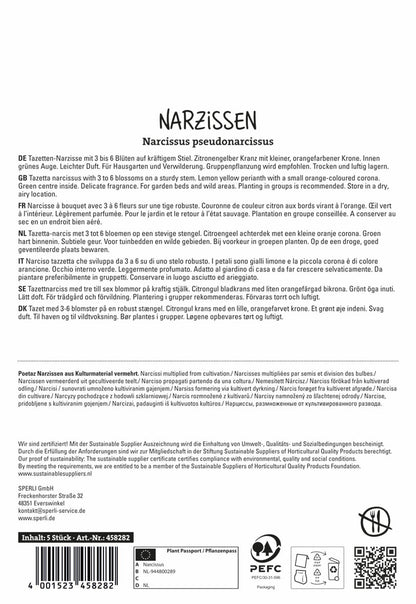  Narzisse Scarlet Gem (5 Stück)