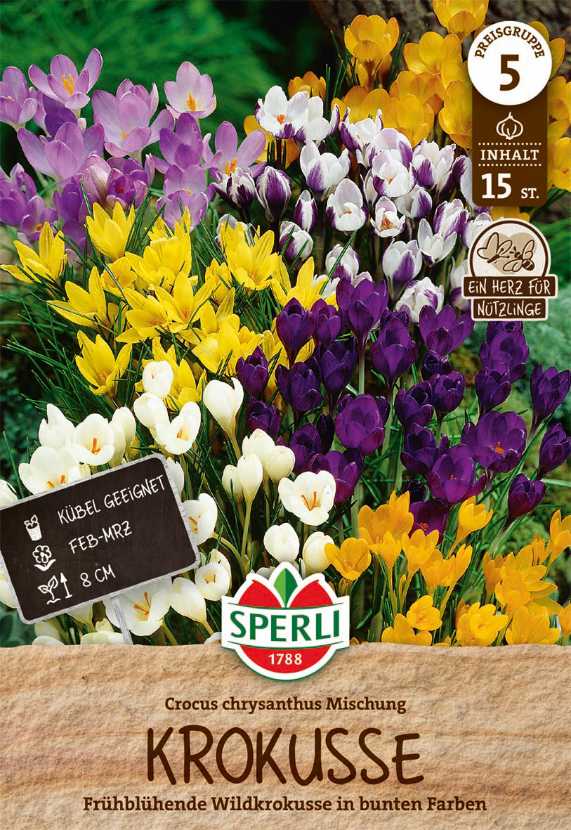  Krokus Botanische Mischung (15 Stück)
