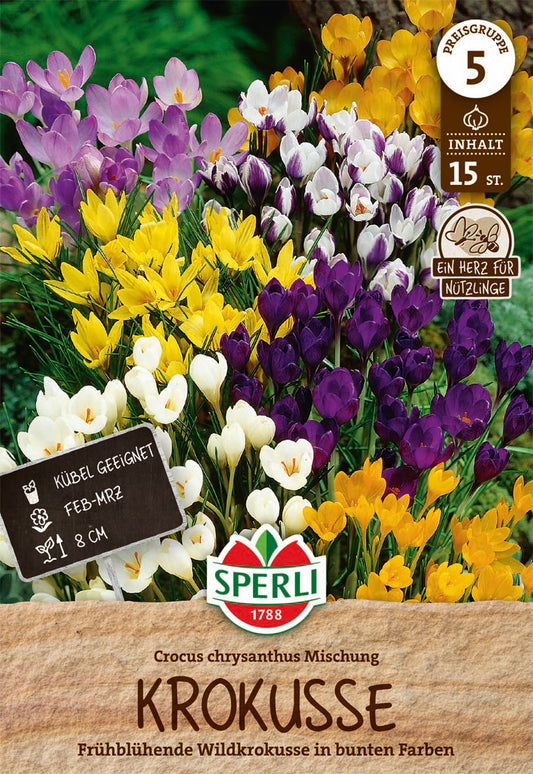  Krokus Botanische Mischung (15 Stück)