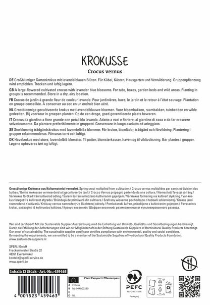  Krokus Grand Maitre (12 Stück)