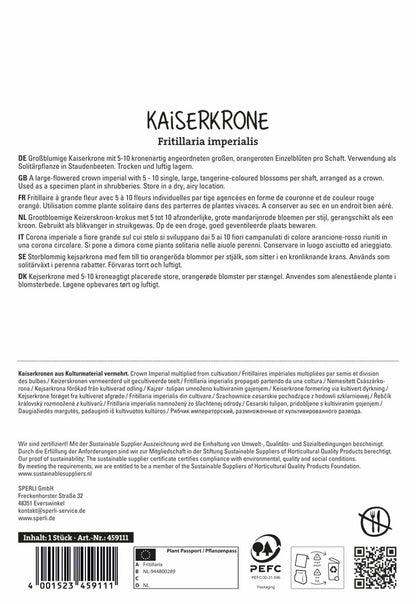  Kaiserkrone Aurora (1 Stück)