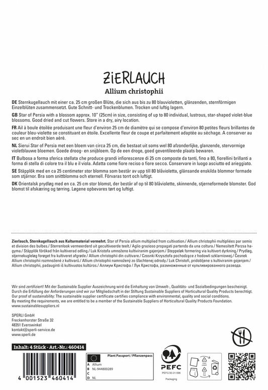  Zierlauch Christophii (4 Stück)