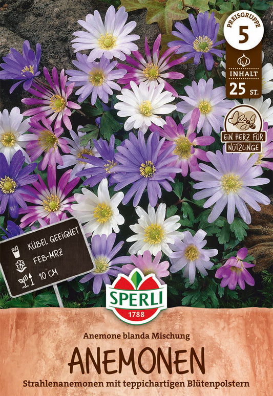  Anemonen Mischung (25 Stück)
