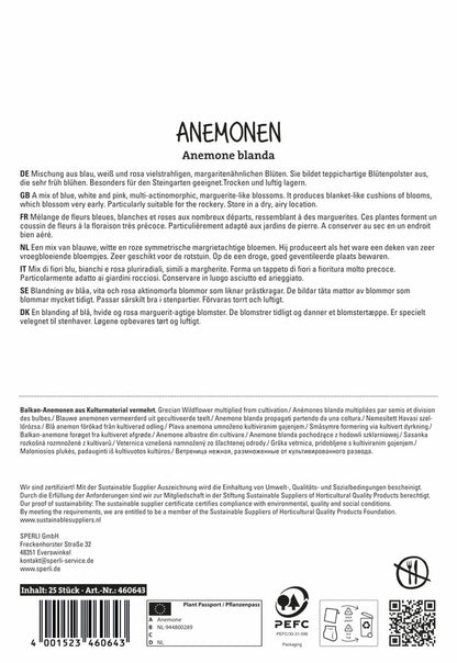  Anemonen Mischung (25 Stück)