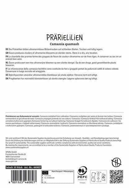  Prärielilie (10 Stück)