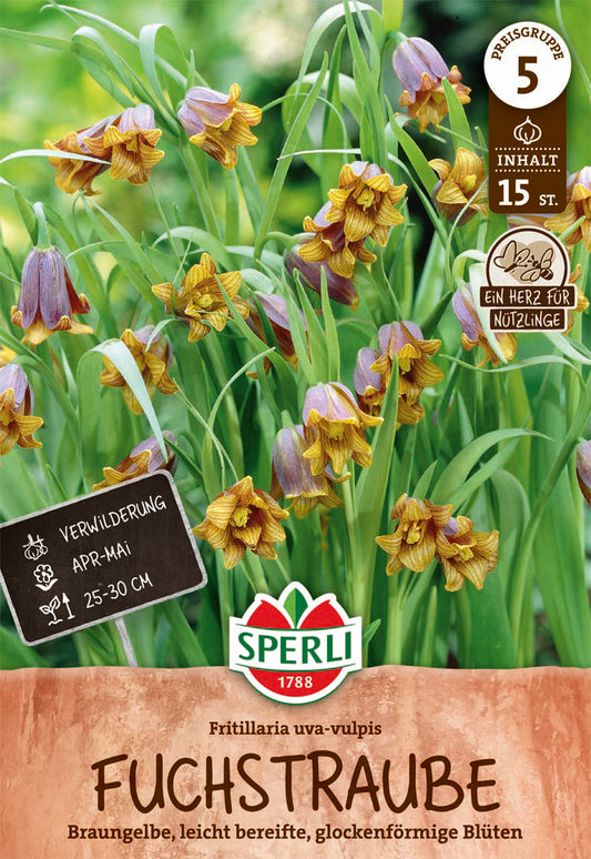  Fuchstrauben Fritillarie (15 Stück)