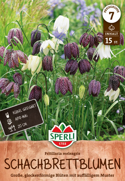  Schachbrettblume (15 Stück)
