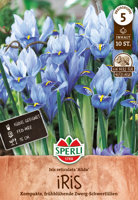  Iris Alida (10 Stück)