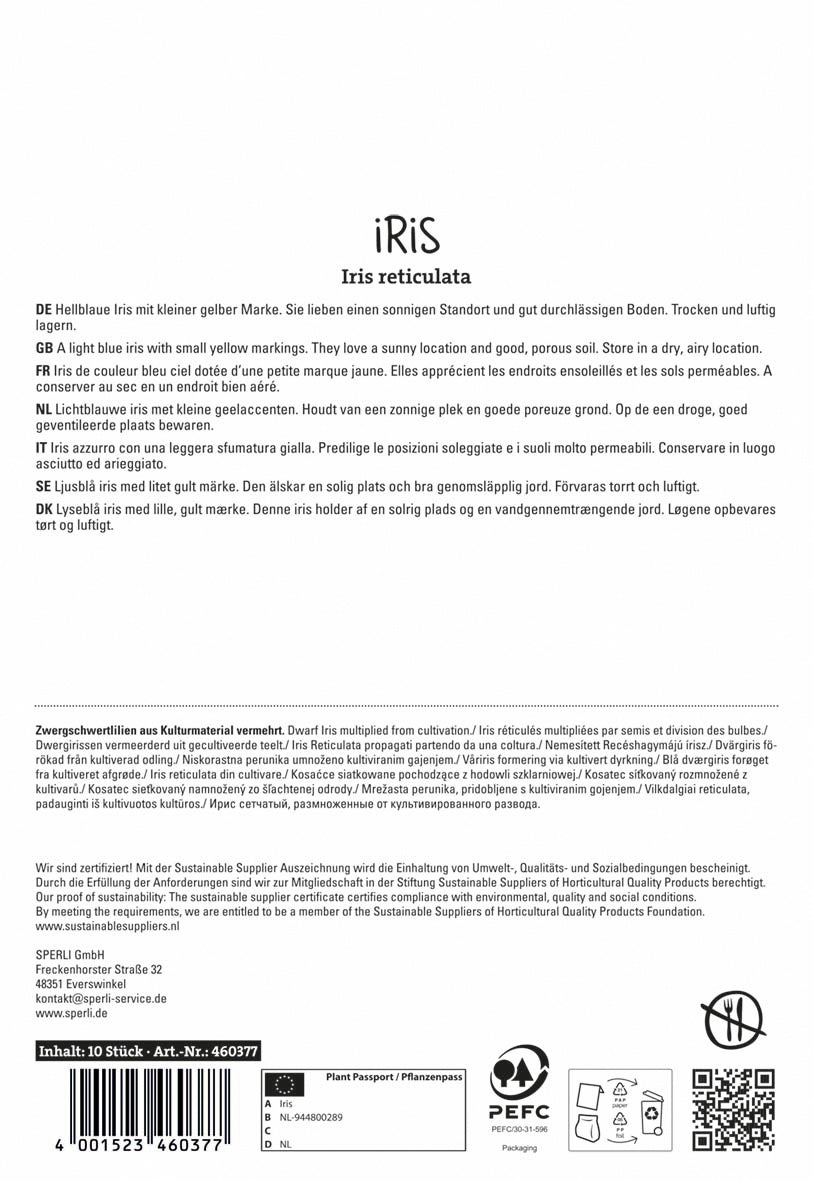  Iris Alida (10 Stück)