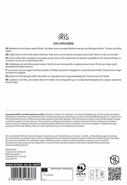  Iris Alida (10 Stück)