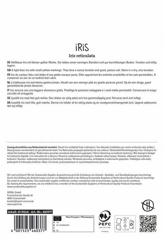  Iris Alida (10 Stück)
