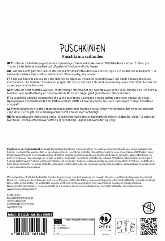  Puschkinie (15 Stück)
