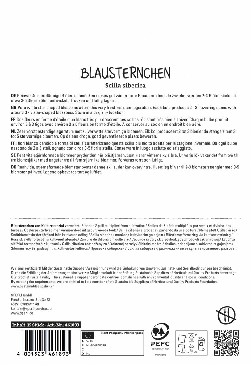  Sibirischer Blaustern Alba (15 Stück)