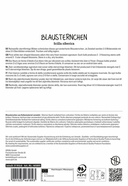 Sibirischer Blaustern Alba (15 Stück)