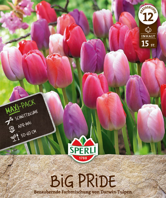  Maxi Tulpen Big Pride Mischung (15 Stück)