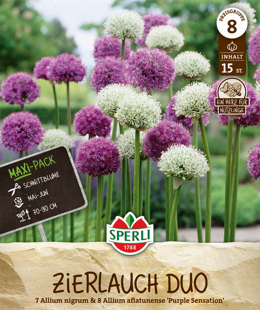  Zierlauch Mischung (15 Stück)