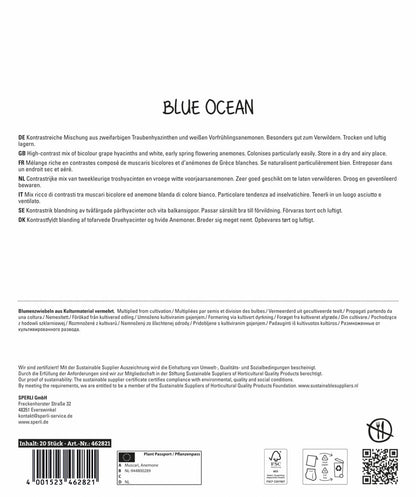  Maxi Blue Ocean Mischung (20 Stück)