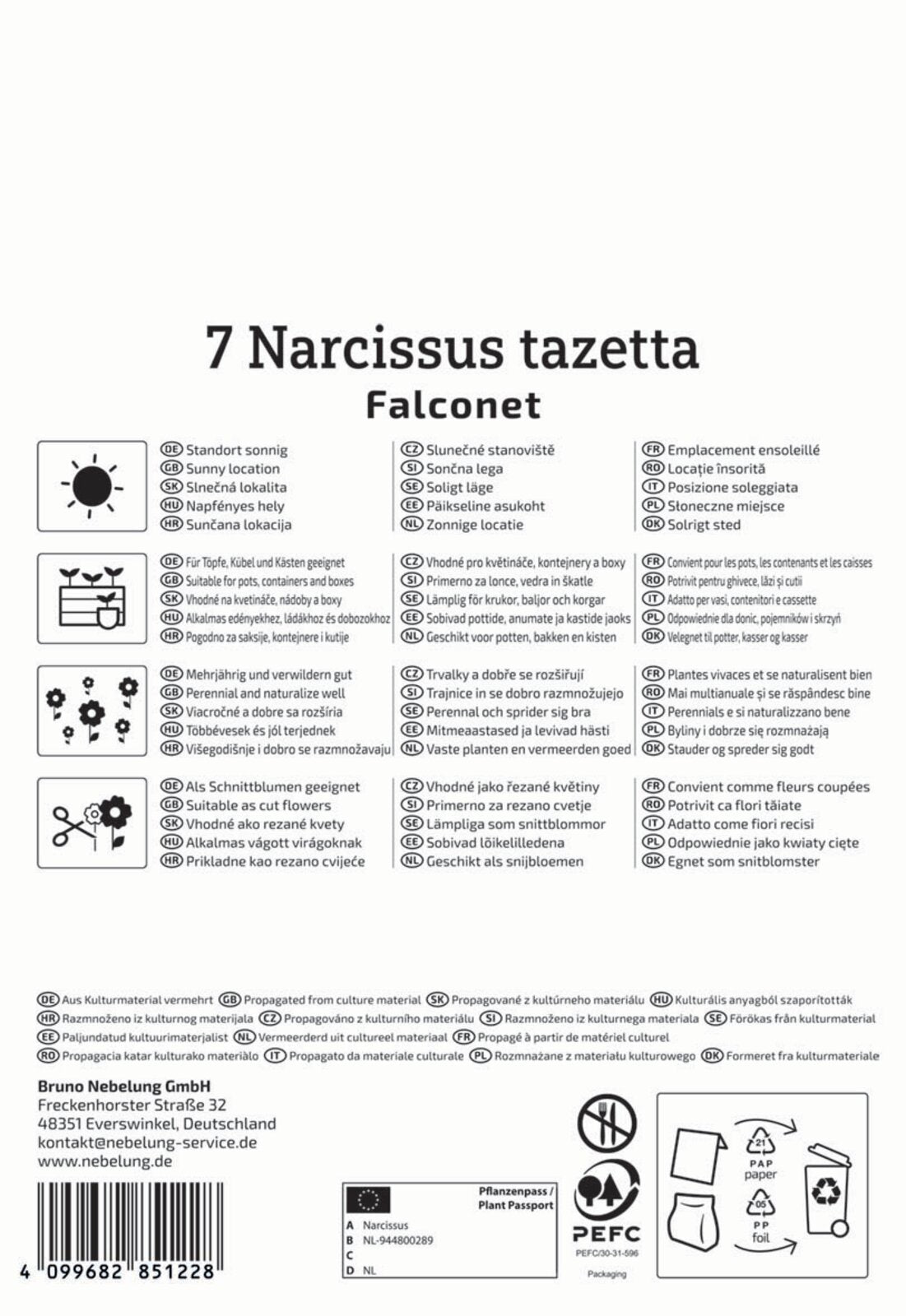  Tazetten-Narzisse Falconet (7 Stück)