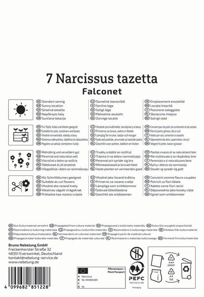 Tazetten-Narzisse Falconet (7 Stück)