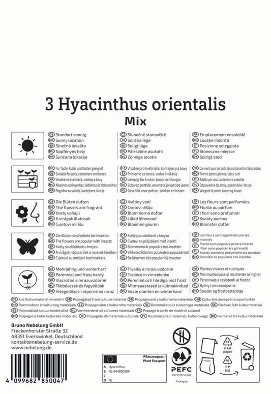  Hyazinthen Mischung (3 Stück)