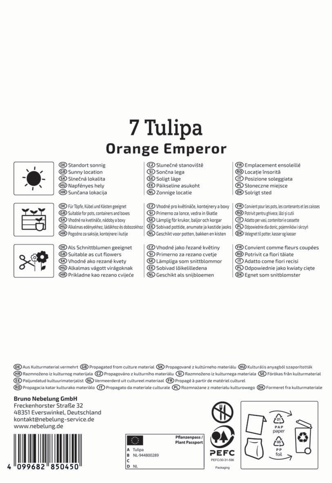  Fosteriana-Tulpe Orange Emperor (7 Stück)