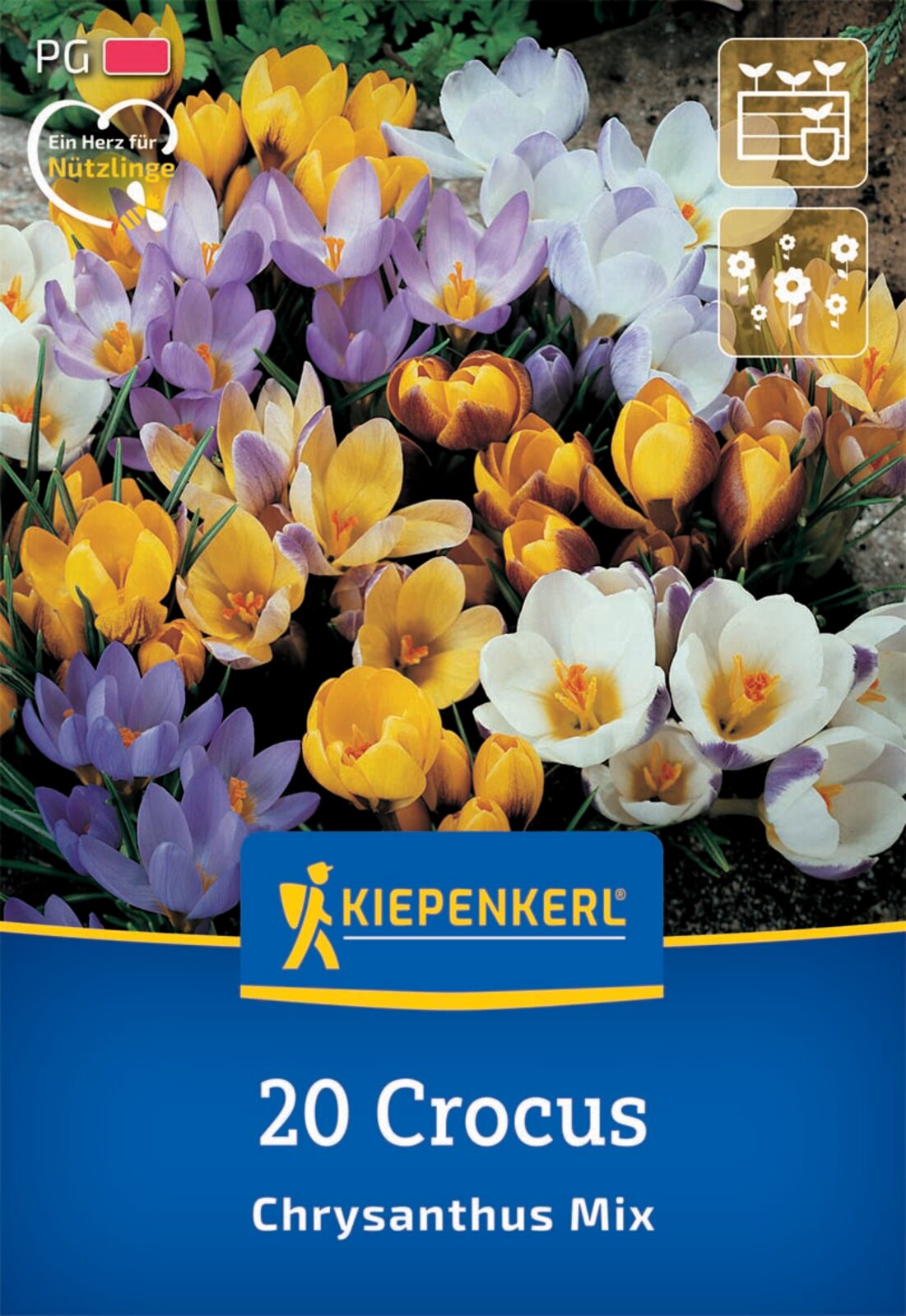  Botanischer Krokus Mischung (20 Stück)