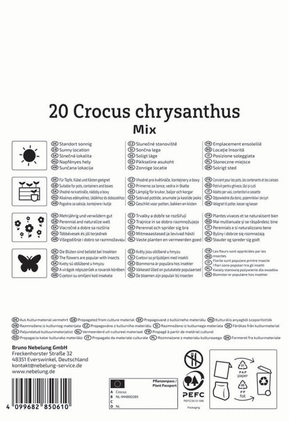  Botanischer Krokus Mischung (20 Stück)