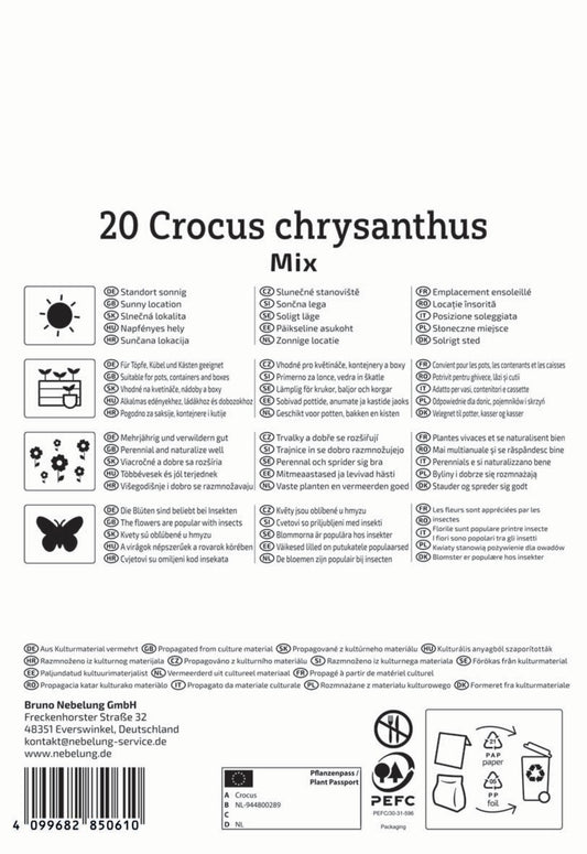  Botanischer Krokus Mischung (20 Stück)