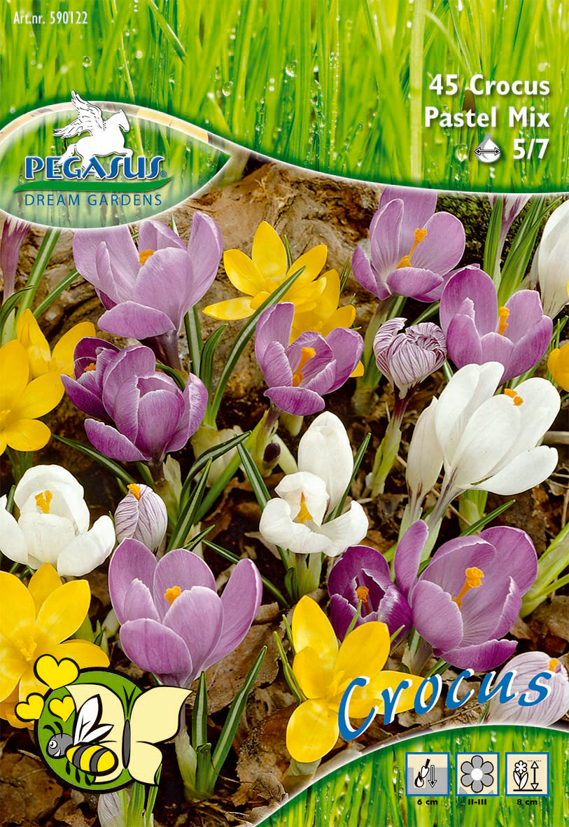 Pegasus Botanische Krokusse Pastell-Mix (45 Stück)