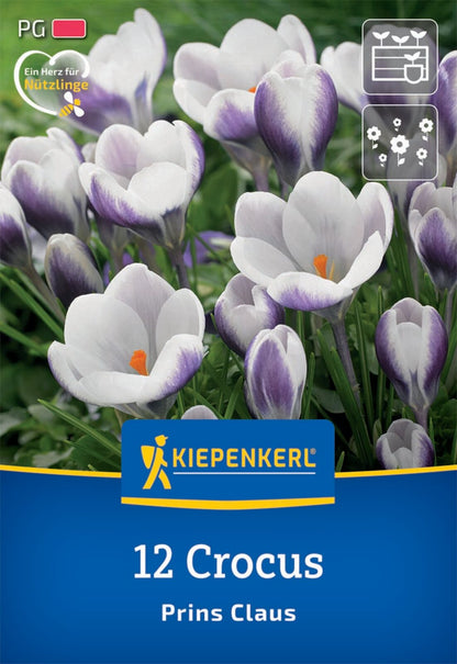  Botanischer Krokus Prins Claus (12 Stück)