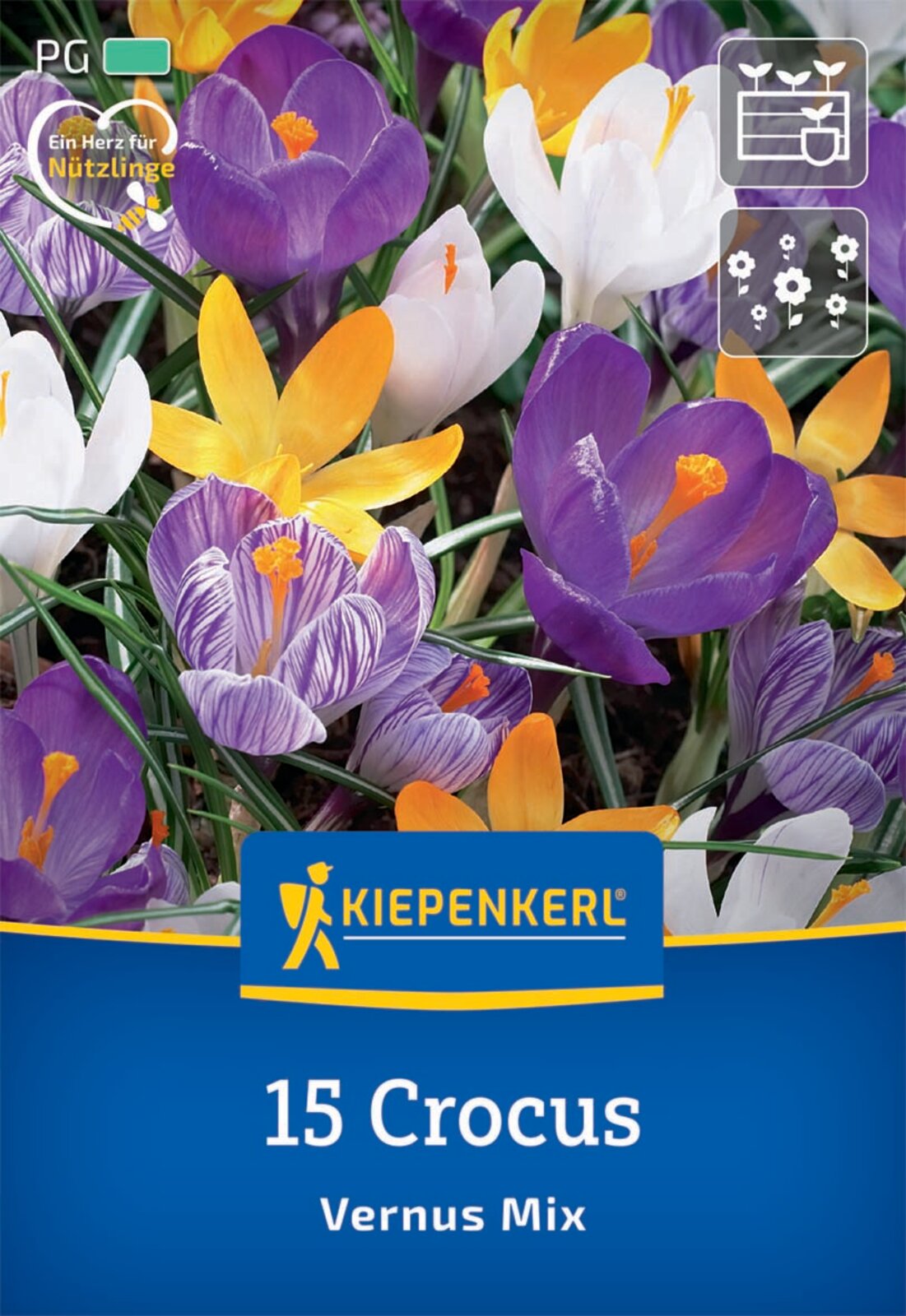  Großblumiger Krokus Mischung (15 Stück)